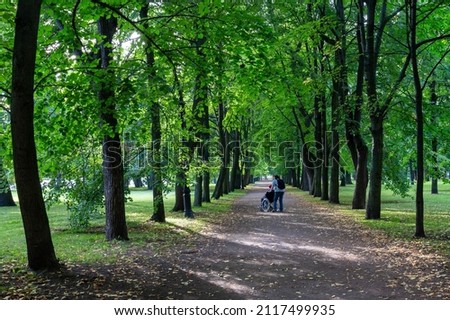 Kronstadt, St. Petersburg, Russia - August 15, 2020: Disabled person in wheelchair with caregiver walking in shady linden alley in a summer Petrovsky Park, Kronstadt. Road through row of trees