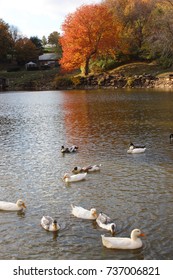 Krug Park, Saint Joseph, Missouri