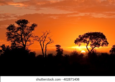 Kruger National Park