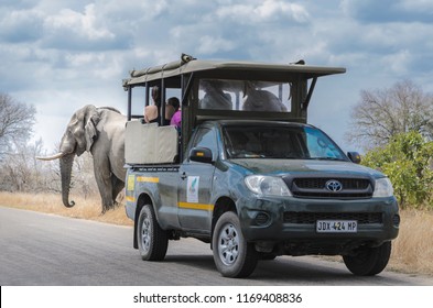 Kruger National Park South Africa. 19 September 2017. Elephant Spotting On Safari Jeep