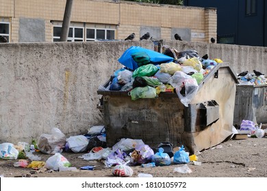 KRYVYI RIH, UKRAINE - SEPTEMBER, 2020.  Trash in overloaded garbage bins in courtyard of residential district.