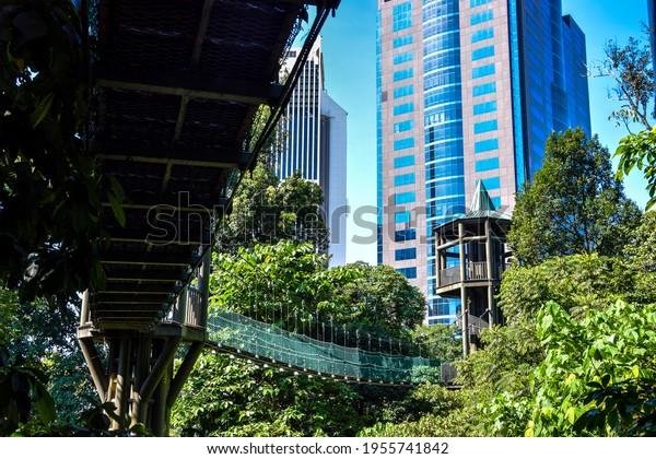 Kuala\
Lumpur, forest eco park - jungle inside the\
city