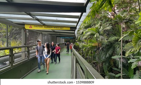 Kuala Lumpur, Malaysia - January 2017: Link Bridge From Sunway University To Sunway Pyramid Shopping Mall. The 10 Minutes Of Walk On The Bridge Gives A Scenic Experience To Visitors.