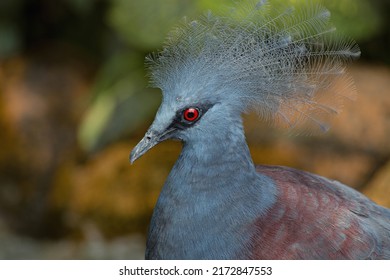 38,513 Birds malaysia Images, Stock Photos & Vectors | Shutterstock