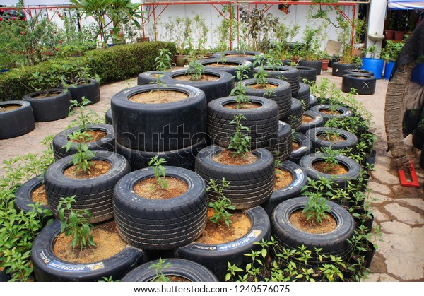 KUALA LUMPUR,
MALAYSIA -NOVEMBER 24, 2018: Plant planter box is made from used F1
racing car tires. Used directly or stacked with each other based on
the size of the planted
tree.