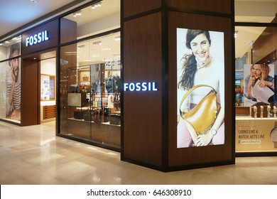 Fossil Store Images Stock Photos Vectors Shutterstock