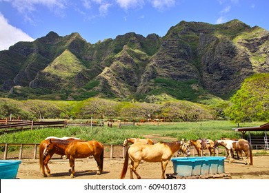 Kualoa Ranch