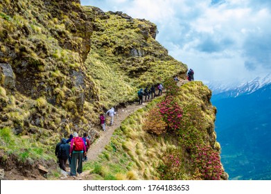 Kuari Pass, Uttarakhand - May 25, 2019: A group of hikers trekking through Kanwari pass to Auli, during their summer vacation trip.Kuari Pass is as an easy-moderate trek and ideal trek for a beginner.