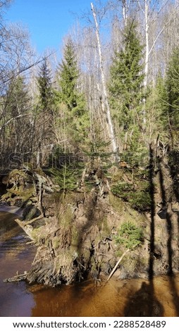 Kubesele Nature Trail at Krimulda, Latvia. Leads Along the Banks of the Runtinupite River, the Big Runtina Stone, the Saulstari Rock, the Kubesele Caveand Ancient Graveyards The Gauja National Park