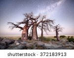 Kubu Island in Botswana