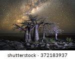 Kubu Island in Botswana