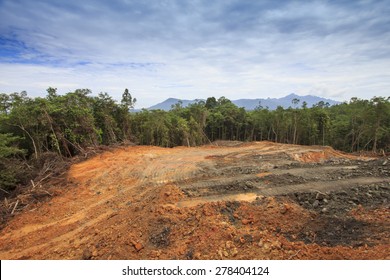 KUCHING, MALAYSIA - MAY 16 2015: Deforestation. Photo Of Tropical Rain Forest In Borneo Being Destroyed To Make Way For Oil Palm Plantation.