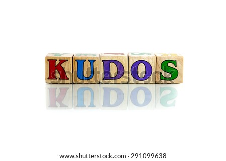 kudos colorful wooden word block on the white background