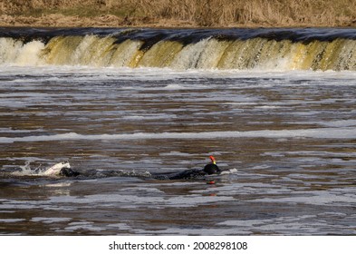 Kuldiga, Latvia - April 1, 2017: The Diver Is Looking For Hidden Illegal Fishing Nets In The Venta River And Under The Waterfall.