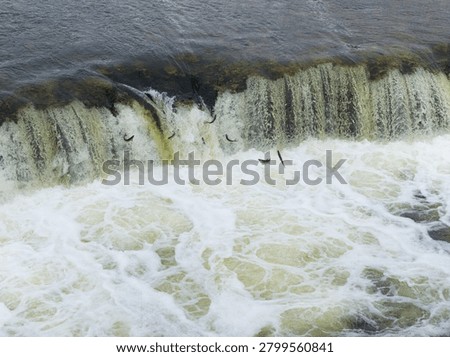 Kuldiga Venta River features a waterfall cascading over rocks into a turbulent pool, surrounded by natural landscape and flowing water in Latvia