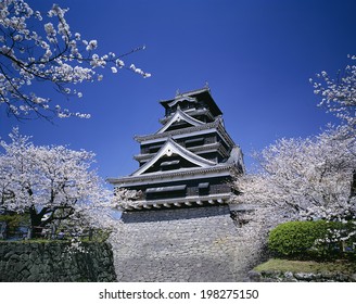 熊本城 の画像 写真素材 ベクター画像 Shutterstock