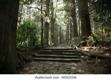 Kumano Kodo