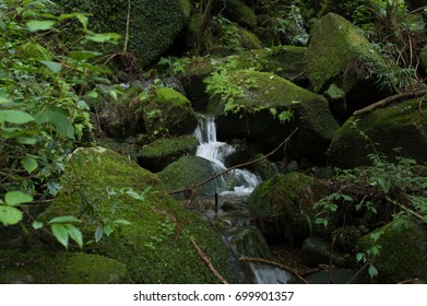 Kumano Kodo; Iseji