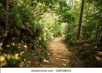 Kumano Kodo Pilgrimage Trail, Wakayama, Japan