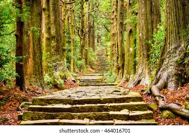 熊野古道 の写真素材 画像 写真 Shutterstock