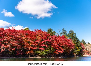 211 Kumobaike Pond Images, Stock Photos & Vectors | Shutterstock