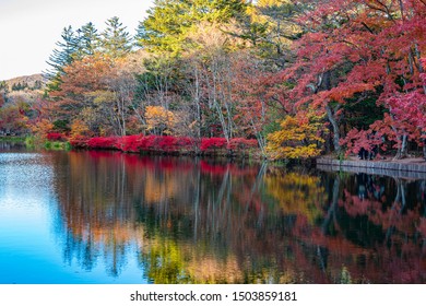 211 Kumobaike Pond Images, Stock Photos & Vectors | Shutterstock