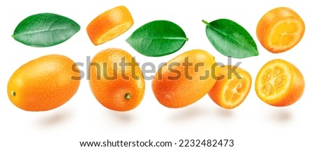 Kumquat fruit and cross cuts of kumquat flying in the air on white background. File contains clipping paths.