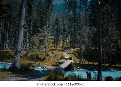 249 Kumrat forest Images, Stock Photos & Vectors | Shutterstock