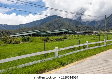 Desa Cattle Sabah Sdn Bhd Hd Stock Images Shutterstock