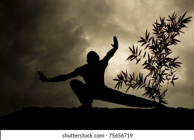 Kung Fu Martial Art Background - Powered by Shutterstock