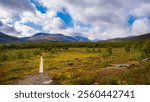 Kungsleden path through beautiful swedish nordic landscape with swamps, meadows, forest and tall mountains on horizon with cloudy sky over harsh arctic wilderness on far north in Lapland