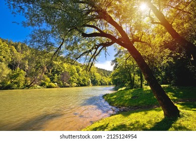 Kupa river green landscape near Severin in Gorski Kotar region of Croatia, border of Croatia and Slovenia