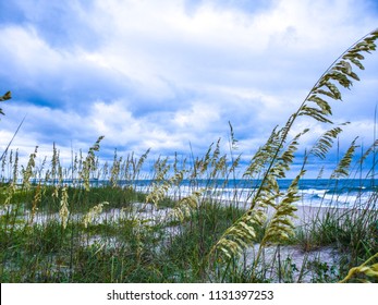 Kure Beach North Carolina Dunes And Sea Oats And Grass