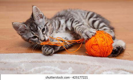 cat yarn ball