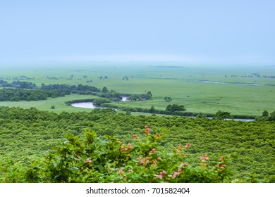 Kushiro Marsh Area ,Hokkaido,Japan