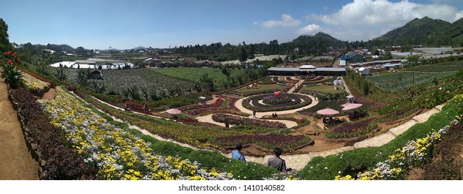 Kutabawa Flower Garden, Purbalingga, Indonesia