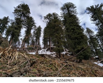 Kutla, Manikaran, Tosh, Himachal Pradesh