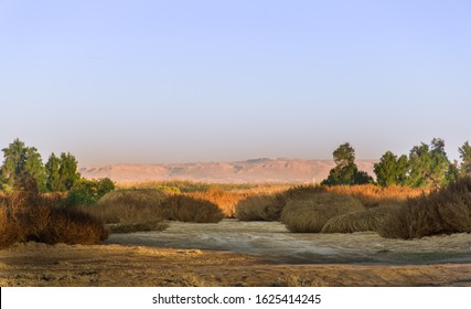 Kuwait Nature Images, & Vectors | Shutterstock