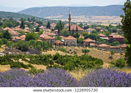             Kuyucak is located in Turkey's Isparta province. It is a fairytale lavender village.                   