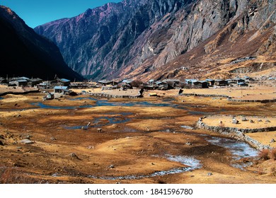 Kyanjin Village At Langtang Valley, Nepal, Surrounded By The Tsergo Ri And Yala Peak Mountains