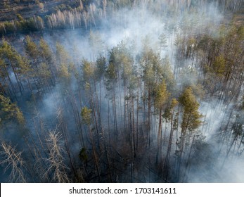 KYIV REGION, VILLAGE LISOVE, UKRAINE - APRIL 12, 2020. A drone view on burning forest during forest wildfires around the Chornobyl exclusion zone.