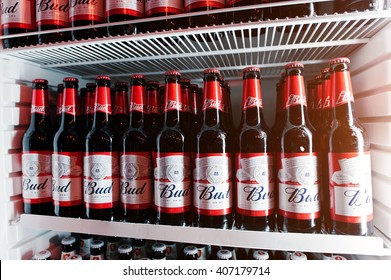 KYIV, UKRAINE - MARCH 25, 2016: Bud Beer Bottles In The Fridge.