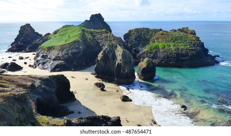 Kynace Cove, Lizard