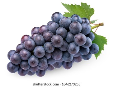 Dark Blue Grape Leaves Isolated On Stock Photo 604667843 | Shutterstock