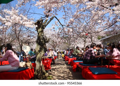 KYOTO - APRIL 4: Japanese people gather on April 4th, 2010 in Maruyama Park in Kyoto, Japan to celebrate "hanami", the Cherry blossom celebration. This park is the most famous hanami place of Japan.