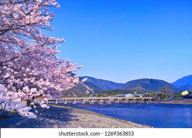 Kyoto Arashiyama, Cherry Blossom Blooming Tsukihashi Bridge In Spring