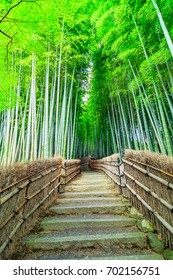 Kyoto Bamboo Forest