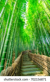 Kyoto Bamboo Forest