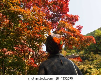 清水寺 紅葉 の画像 写真素材 ベクター画像 Shutterstock