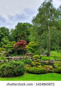 Kyoto Garden, Holland Park, London